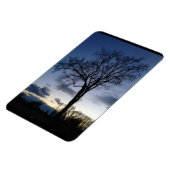 Der Baum im Twilight Magnet (Linke Seite)