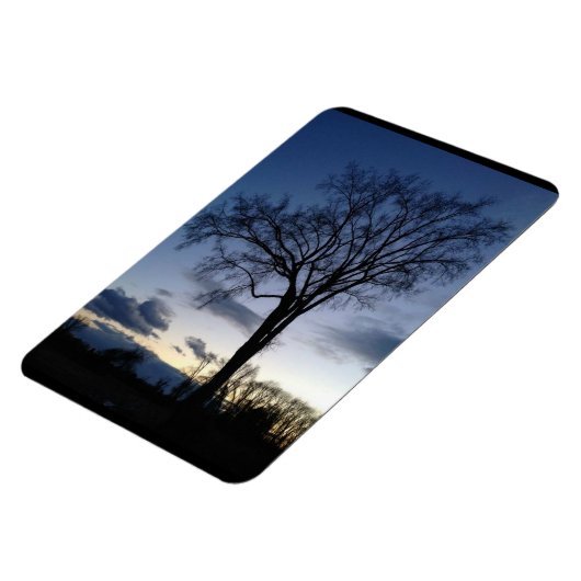 Der Baum im Twilight Magnet (Linke Seite)