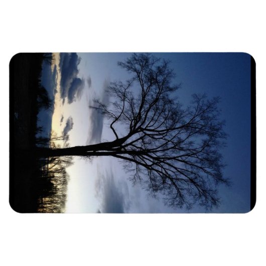 Der Baum im Twilight Magnet (Horizontal)