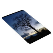 Der Baum im Twilight Magnet (Rechte Seite)