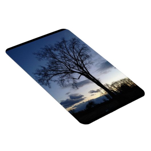 Der Baum im Twilight Magnet (Rechte Seite)