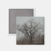 Der Baum Magnet (Vorderseite/Rückseite)