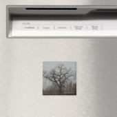 Der Baum Magnet (In Situ (Geschirrspüler))