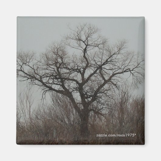 Der Baum Magnet (Vorne)