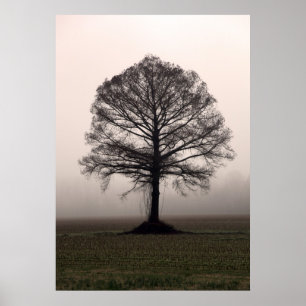 Der Baum Poster