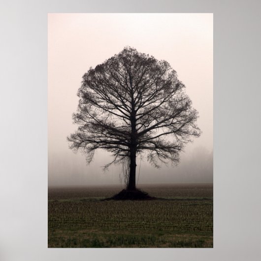 Der Baum Poster (Vorne)