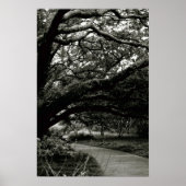 Der Baum Poster (Vorne)