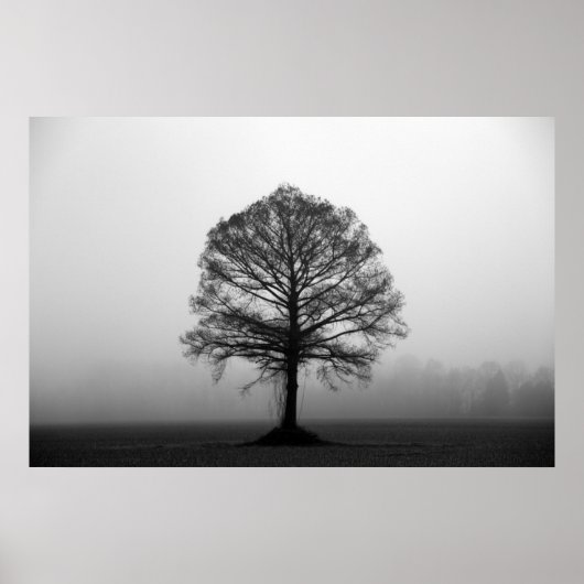 Der Baum Poster (Vorne)