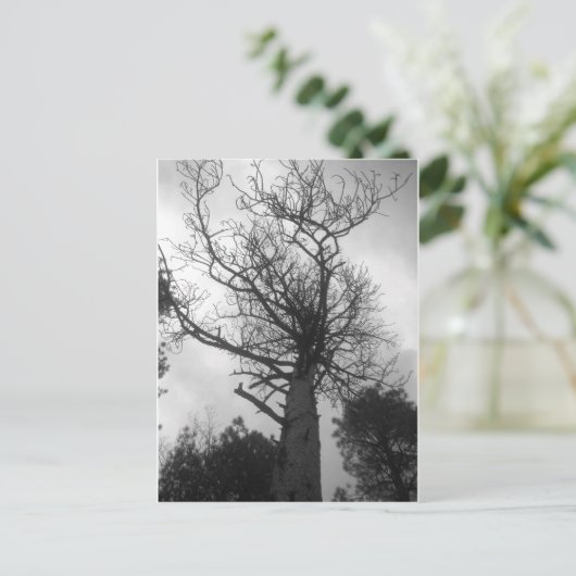 Der Baum Postkarte (Stehend Vorderseite)