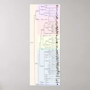 Der Baum von Yum: Animalia-Druck Poster