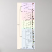 Der Baum von Yum: Animalia Print Poster (Vorne)