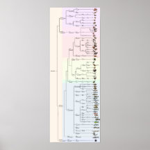 Der Baum von Yum: Animalia Print