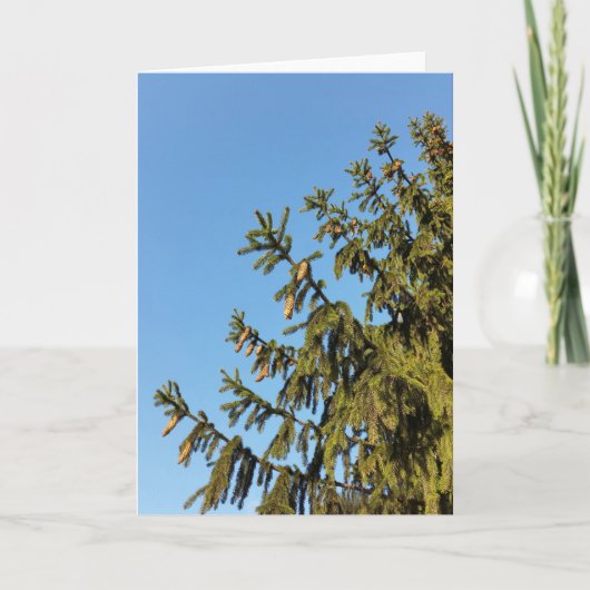 Der Baum zu Weihnachten (Vorderseite)