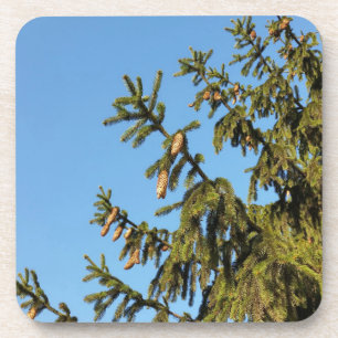 Der Baum zu Weihnachten Getränkeuntersetzer