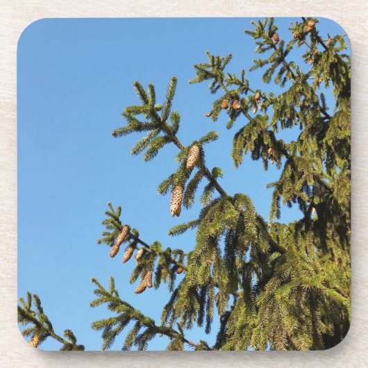 Der Baum zu Weihnachten Getränkeuntersetzer (Vorderseite)