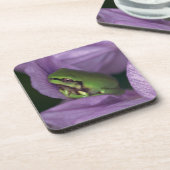 Der Baumfrosch des Weiß Getränkeuntersetzer (Linke Seite)