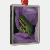 Der Baumfrosch des Weiß Silbernes Ornament (Rechts)