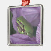 Der Baumfrosch des Weiß Silbernes Ornament (Links)