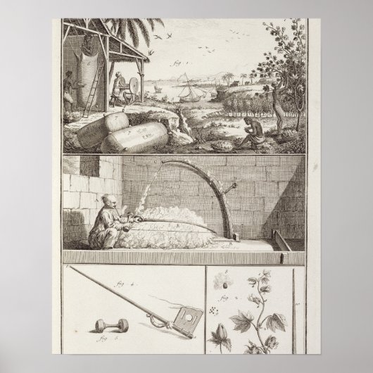 Der Baumwollanbau aus der Enzyklopädie Poster (Vorne)