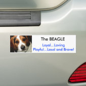 Der BEAGLE Autoaufkleber (Auf Auto)