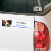 Der BEAGLE Autoaufkleber (Auf Lkw)
