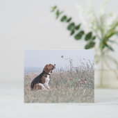 Der Beagle Postkarte (Stehend Vorderseite)