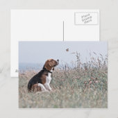 Der Beagle Postkarte (Vorne/Hinten)