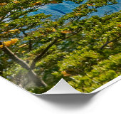Der beeindruckende Perito-Moreno-Gletscher Poster (Ecke)