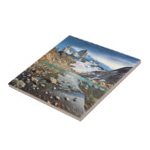 Der berühmte Fitz Roy Fliese (Seite)