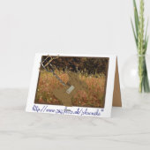 Der besondere Hund Karte (Rückseite)