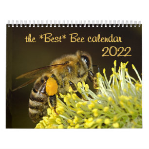 Der beste Bienenkalender 2020 mit Fotos & Beschrei Kalender