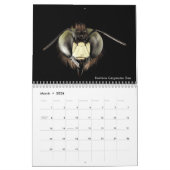 Der beste Bienenkalender 2020 mit Fotos & Beschrei Kalender (Mär 2026)