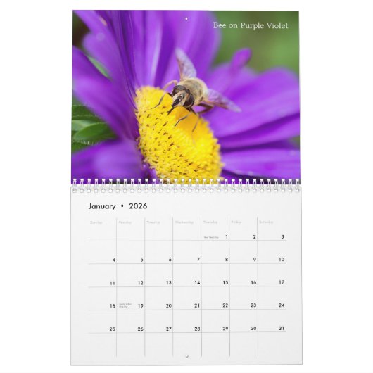 Der beste Bienenkalender 2025 mit Fotos und Beschr Kalender (Jan 2026)