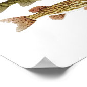 Der beste Freshwater Gamefish Poster (Ecke)