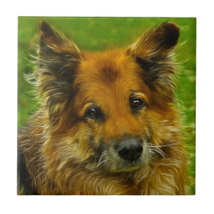 Der beste Freund #2 des Mannes Fliese