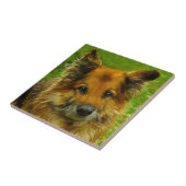 Der beste Freund #2 des Mannes Fliese (Seite)