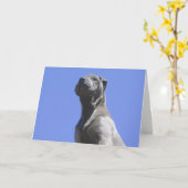 Der beste Freund des Mannes… Karte (Gelbe Blume)