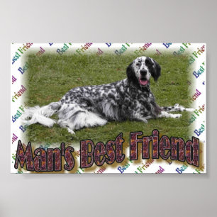 Der beste Freund des Mannes! Poster