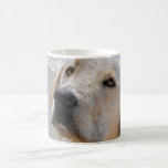 Der beste Freund des Menschen Kaffeetasse<br><div class="desc">Gelbe Labrador steht am Strand.</div>