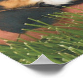 Der beste Freund des Menschen Poster (Ecke)