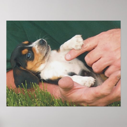 Der beste Freund des Menschen Poster (Vorne)