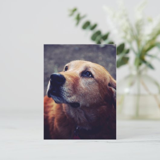 Der beste Freund des Menschen Postkarte (Stehend Vorderseite)