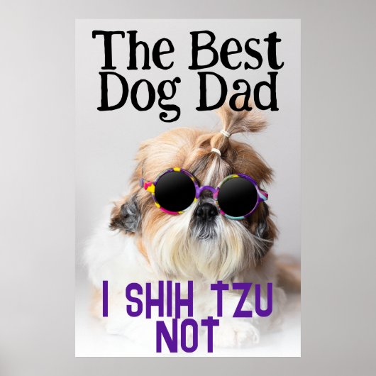Der beste Hundedad Shih Tzu Nicht niedlich lustige Poster (Vorne)