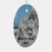 Der beste Vater der Welt! Geschenke Ornamente Blue (Rechts)