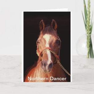 Der bestste Stallion der Nordtänzer-… Welt Karte
