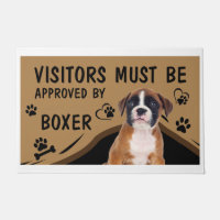 Der Besuch muss von Springer Spaniel Boxer genehmi