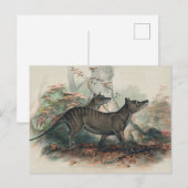 Der Beutelwolf von Joseph Wolf Postkarte (Vorne/Hinten)