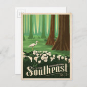 Der bezaubernde Südosten | Vereinigte Staaten Postkarte (Vorne/Hinten)