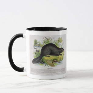 Der Biber, pädagogische Illustrations-Kneipe. Tasse