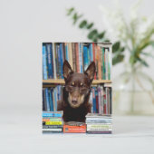 Der Bibliothekar Postkarte (Stehend Vorderseite)
